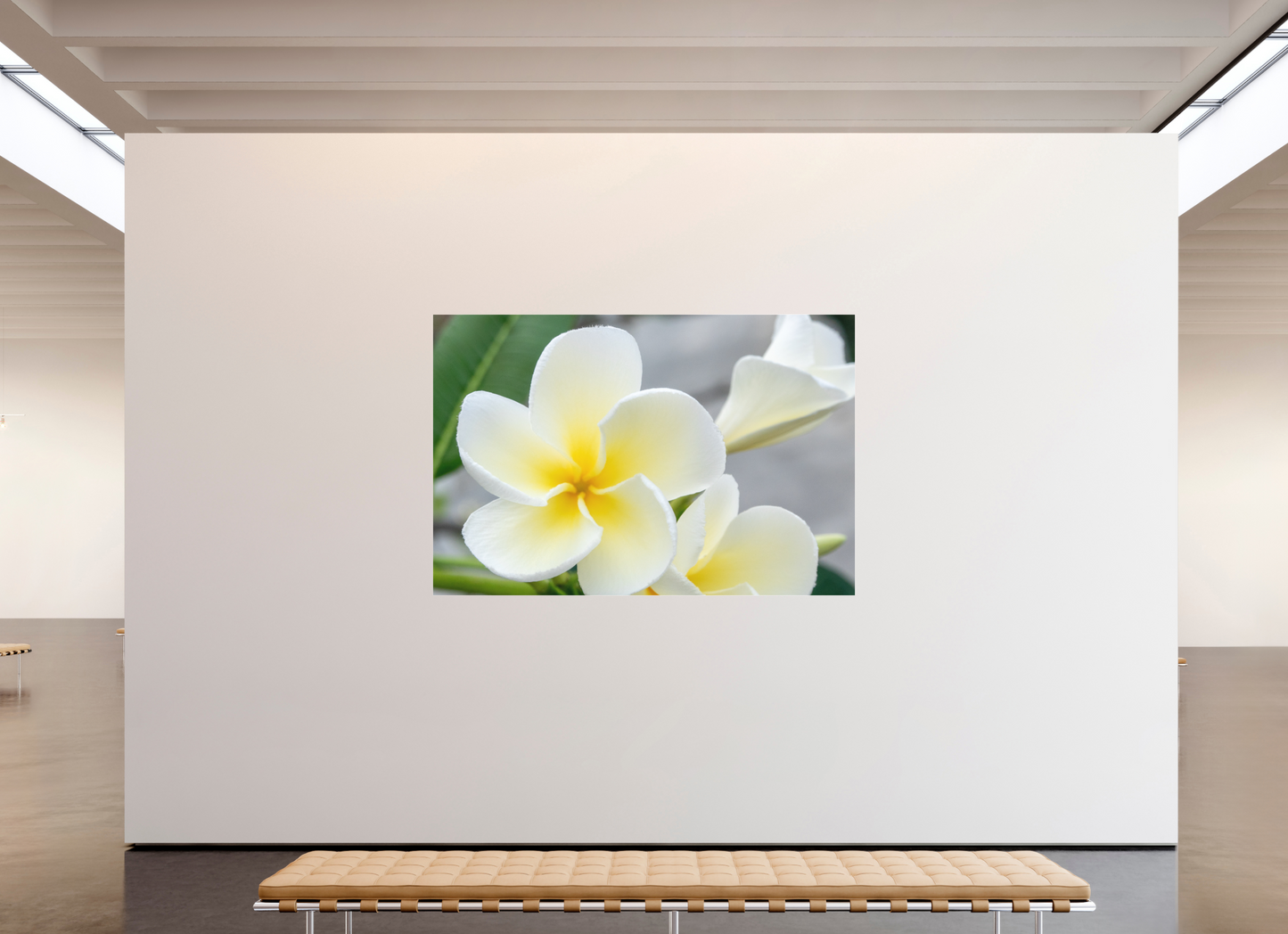 210 x 140 cm, Fine Art Pigmentdruck hinter Acrylglas (matt) Flowers 2