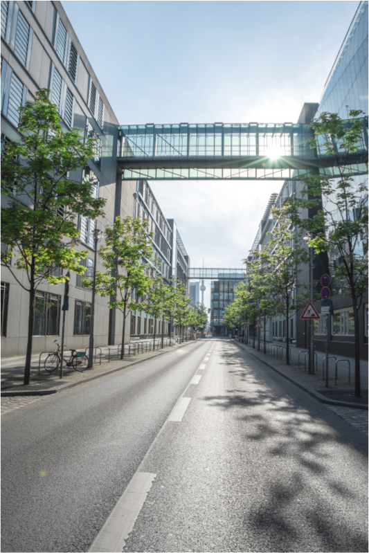 Main image Berlin Corona Pandemic 4 (2020)