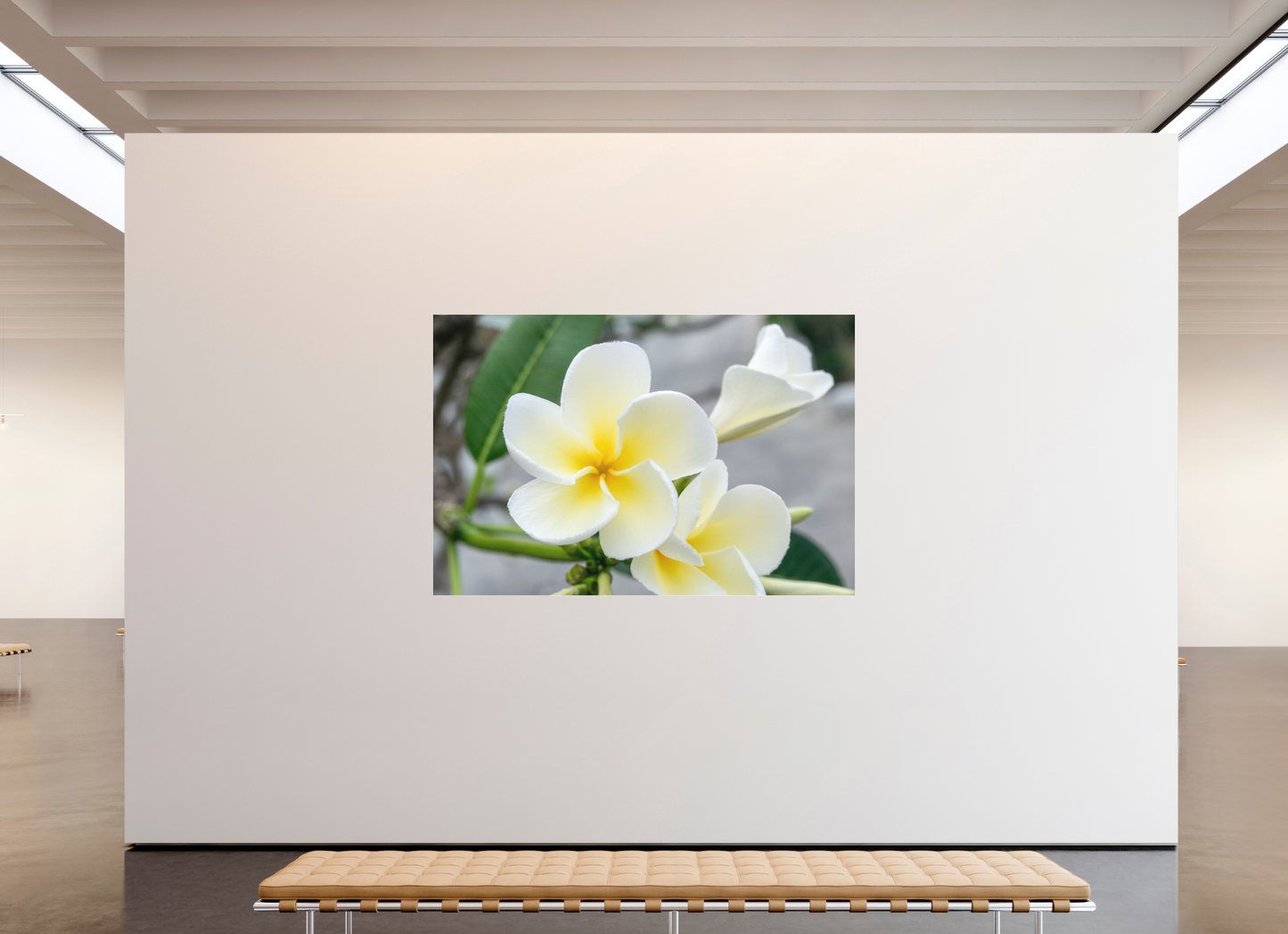 210 x 140 cm, Fine Art Pigmentdruck hinter Acrylglas (matt) Flowers 3