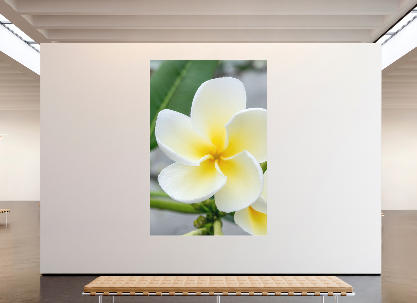 180 x 270 cm, Fine Art Pigmentdruck hinter Acrylglas (matt) Flowers 1