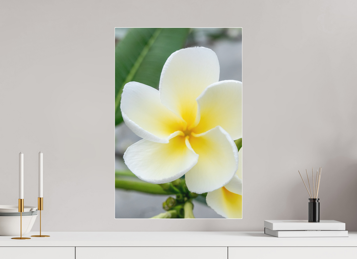 40 x 60 cm, Fine Art Pigmentdruck hinter Acrylglas (glänzend) Flowers 1